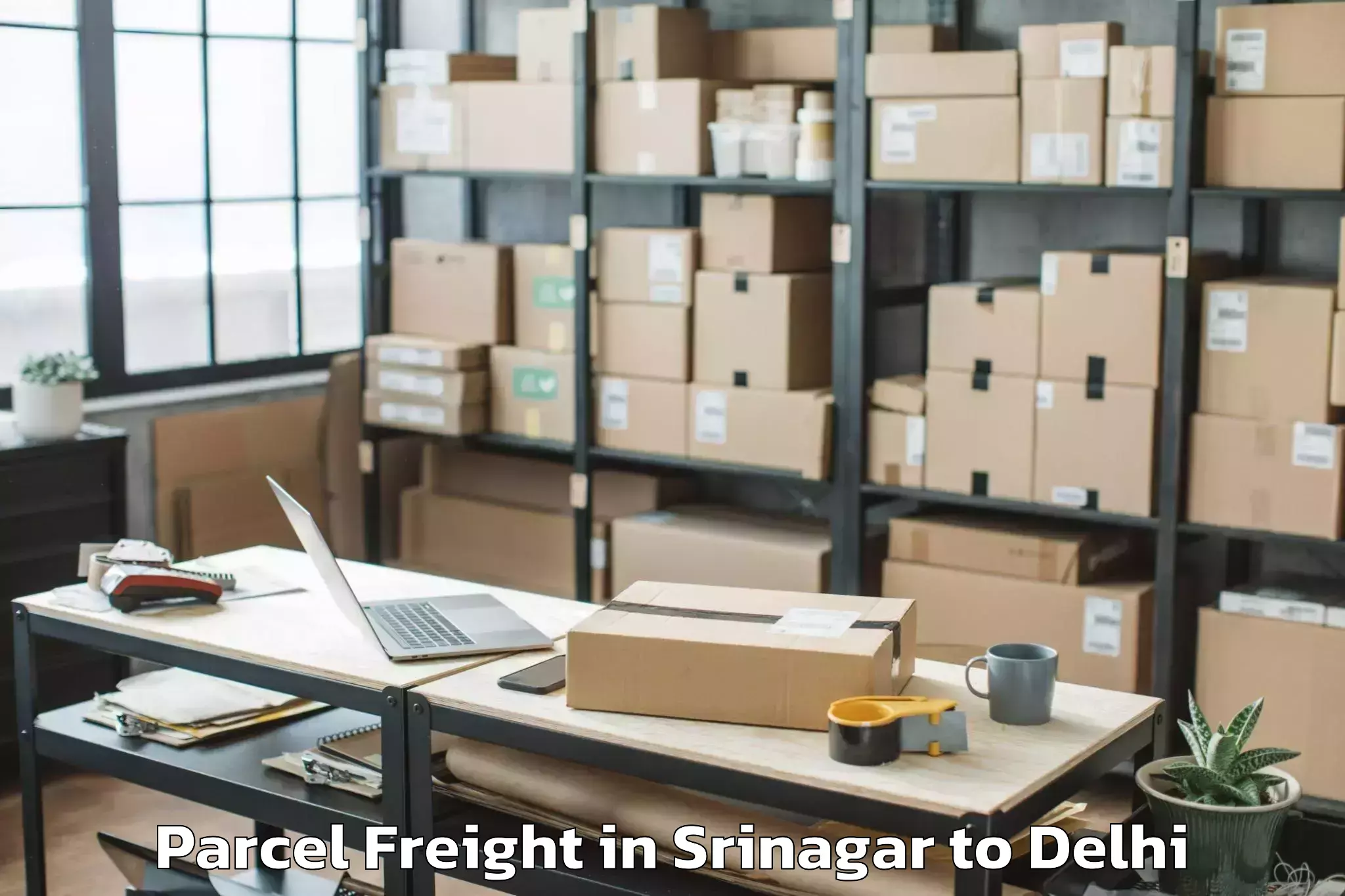 Efficient Srinagar to Karol Bagh Parcel Freight